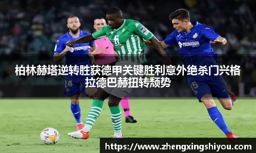 米兰体育官网